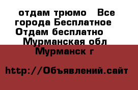 отдам трюмо - Все города Бесплатное » Отдам бесплатно   . Мурманская обл.,Мурманск г.